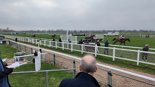 An Honest Day Punting - Warwick