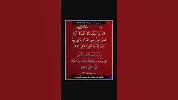 سورة يوسف - سورة 12 - اية 84-83