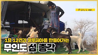 [풀버전] 오직 개들을 위해 무인도를 선택한 남자가 있다?! 12마리 반려견들과 함께 사는 서른한 살 지운 씨 | 동물극장 단짝 EP11 | KBS 220408 방송