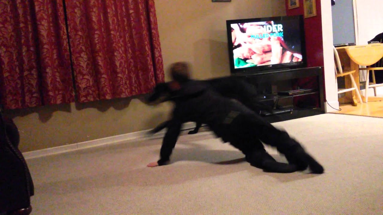 Wrestling with dog YouTube