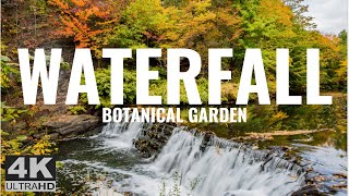 Relaxing Sounds of Nature - Waterfall in the Botanical Garden