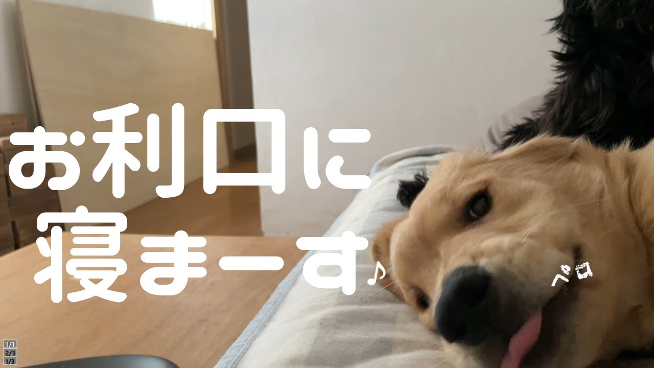 0uf Ijjdu81mem 0uf Ijjdu81mem