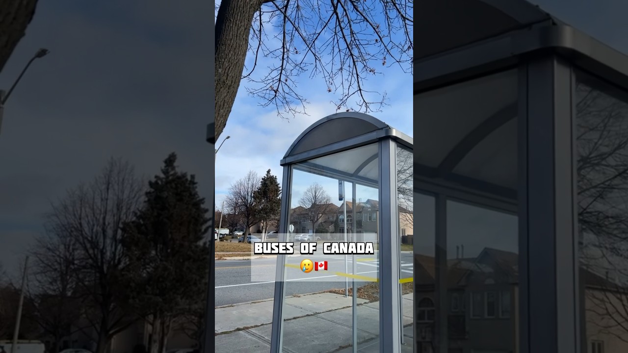#canada #punjabi #internationalstudentlife #brampton