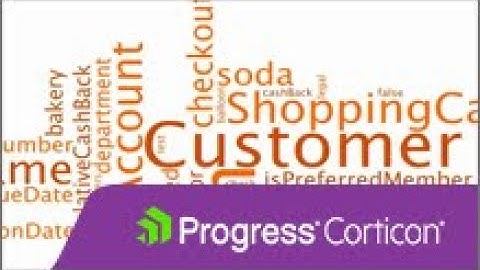 Corticon Creating a Vocabulary