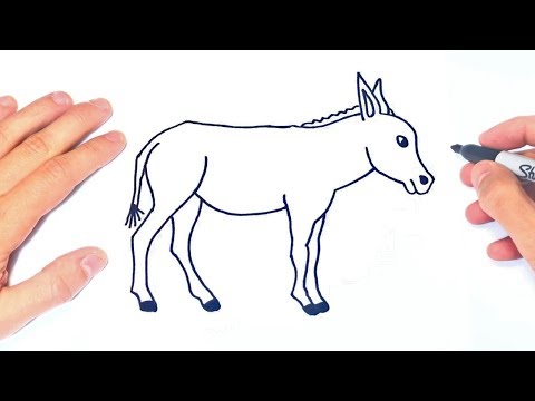 Video: Cómo Dibujar Un Burro