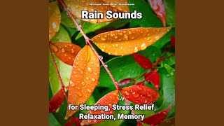 Rain Sounds for Sleeping and Stress Relief Pt. 9