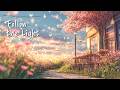 Follow the Light ☀️ Chill Acoustic Playlist | Go with the Flow