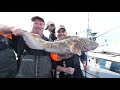 Westport Deep Water Lingcod and Halibut Fishing