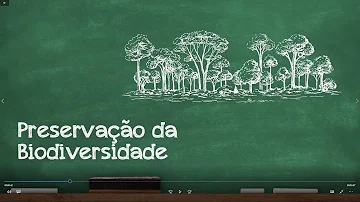 Qual a importância da conservação e preservação da biodiversidade?