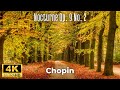 Chopin  nocturne op 9 no 2 4k