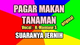 Pagar makan tanaman lirik dan lagu H. Mansyur S original bikin Baper