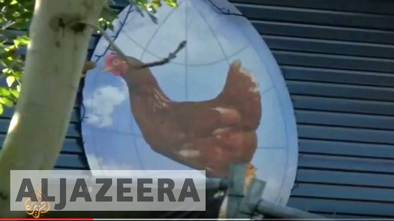 Вспышка птичьего гриппа на фермах в Великобритании и Нидерландах