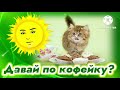 С Добрым утром и хорошим днем! Давай по кофейку? Красивое музыкальное видео с пожеланиями.