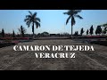 Video de Camaron De Tejeda
