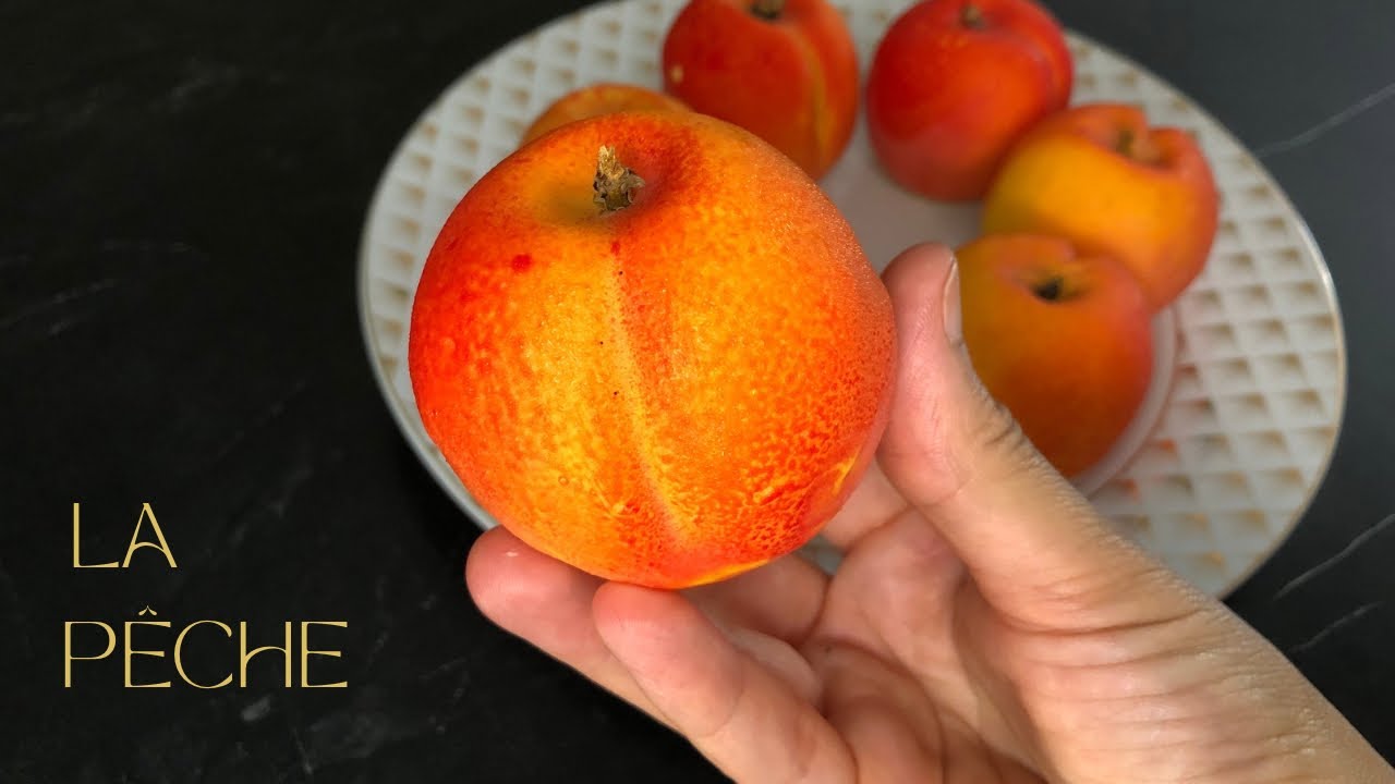 LA PÊCHE EN TROMPE L’ŒIL