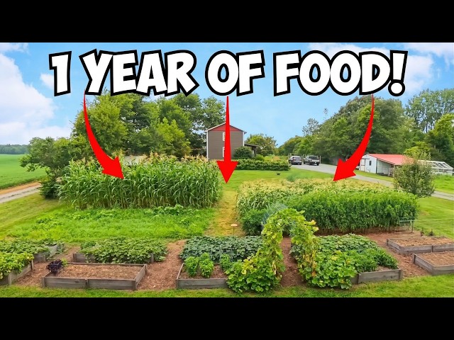 Video: How a 1/8 Acre Garden Feeds a Family of 6 ALL YEAR!