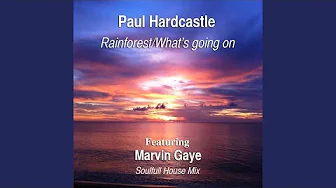 Rainforest/What's Going On (feat. Marvin Gaye) Rainforest/What's Going On (feat. Marvin Gaye)