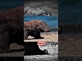 Top  5 Cruelest Creatures In The World