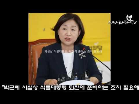 심상정 정의당 대표 박근혜 사실상 식물대통령 퇴진에 준하는 조치 필요해