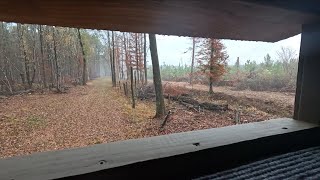 2025 opening day of deer season, the fields and deer down