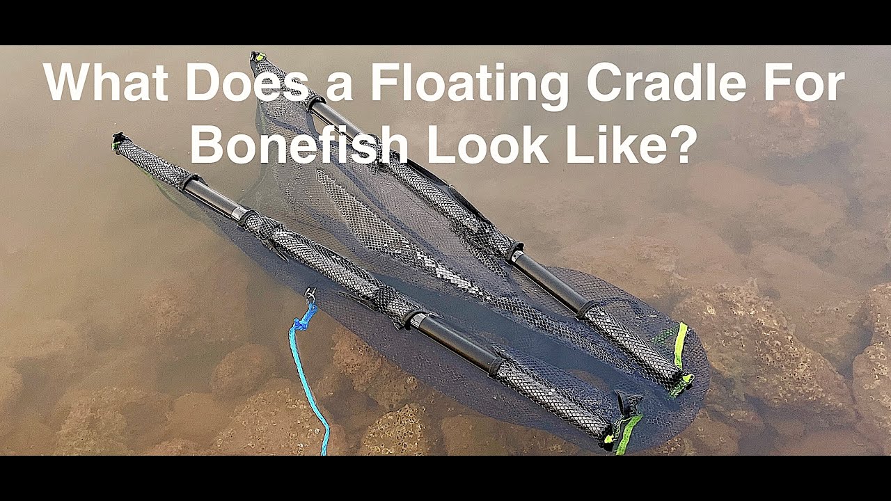 What Does a Floating Cradle Look Like? By Addicted Fishing