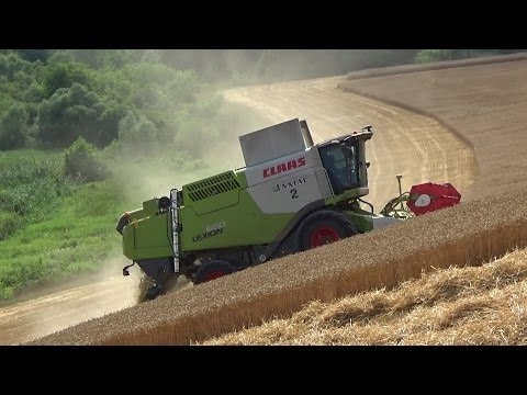 Videó: Bruttó gabonabetakarítás