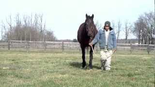 Keejan1125, Feel Free To Flee, By Bertrando