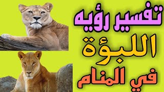 تفسير رؤيه اللبؤة في المنام .ما معني رؤيه انثي الأسد في المنام