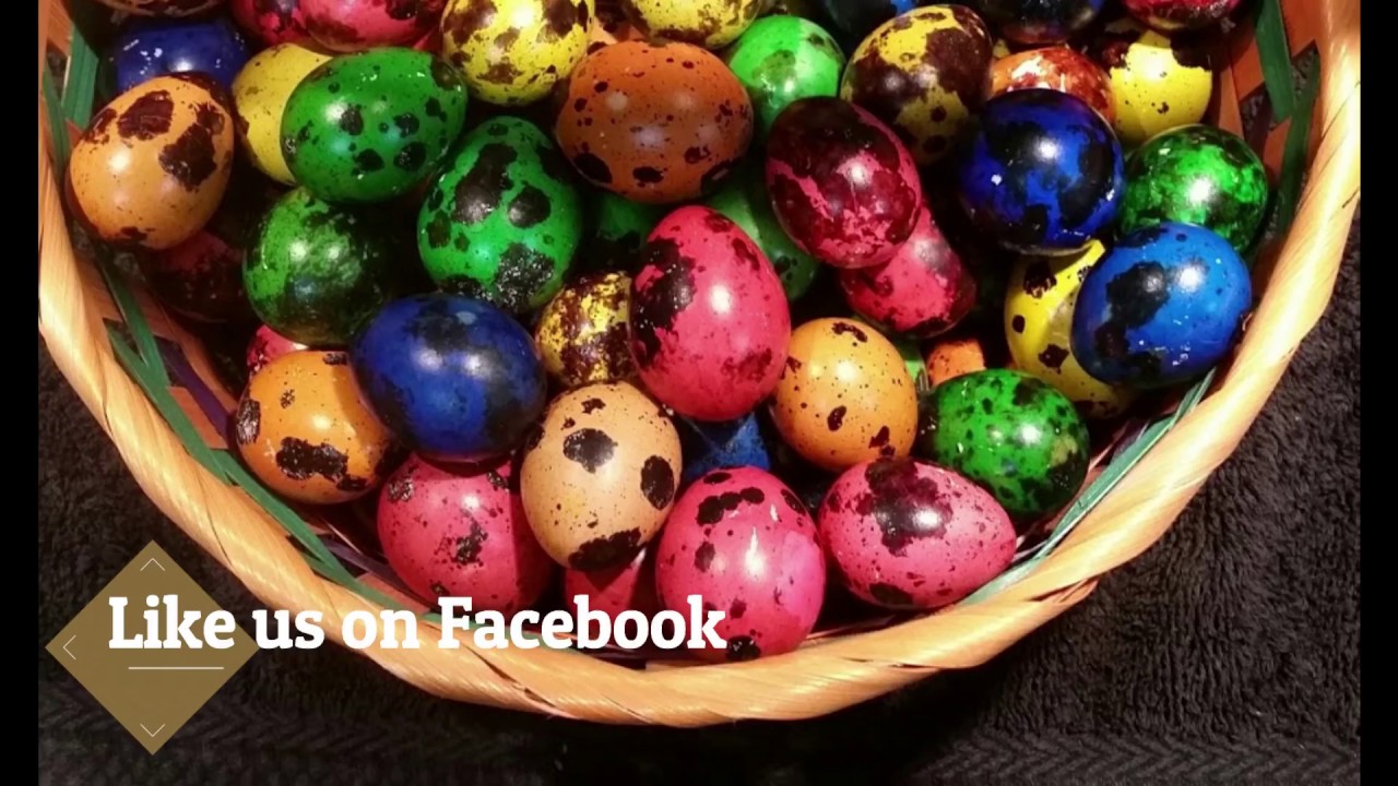 Homestead Evolution an Introduction