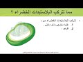 الأحياء مطور صف 10 التراكيب الخلوية والعضيات ج3 