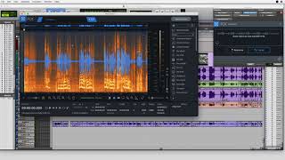 RX7 Derustle: Speed up your workflow: Post-Production Tips