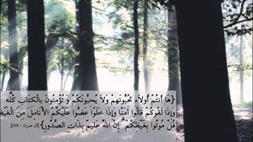 سورة آل عمران  | آية 119