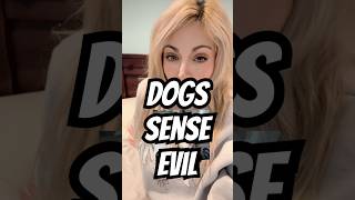 Dogs Sense Evil 😈