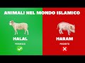 HALAL HARAM CIBI LECITI E PROIBITI NELL ISLAM 