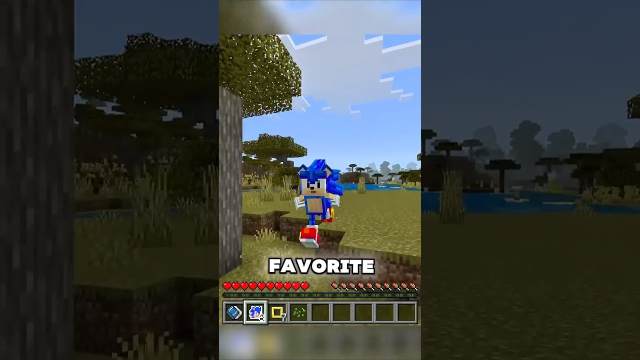 Sonic Addon Minecraft Marketplace 