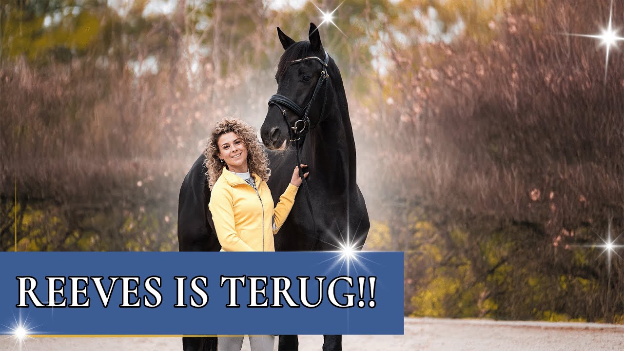 Een nieuwe start: Mijn andere jonge paard is beleerd! | PaardenpraatTV