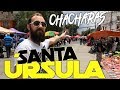 MERCADO DE PULGAS SANTA URSULA COAPA TIANGUIS CIUDAD DE MÉXICO CDMX DF FLEA MARKET