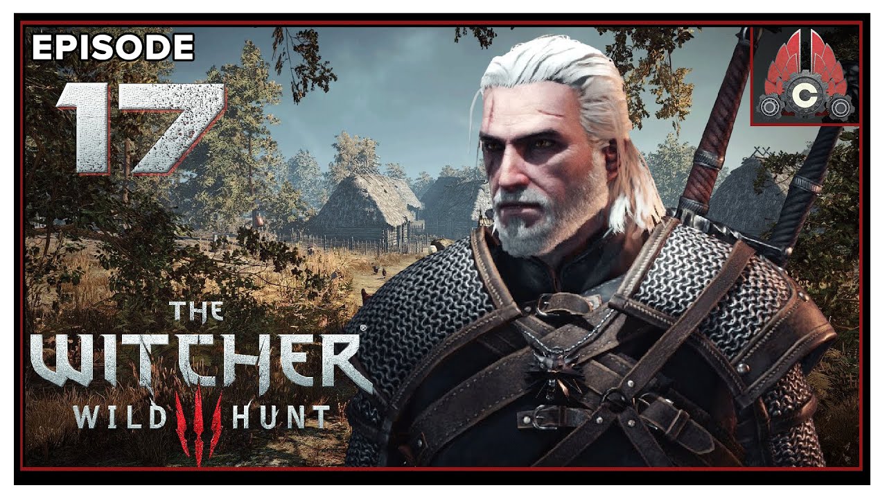CohhCarnage Plays The Witcher 3: Wild Hunt (Death March/Full Game/DLC/2020 Run) - Episode 17
