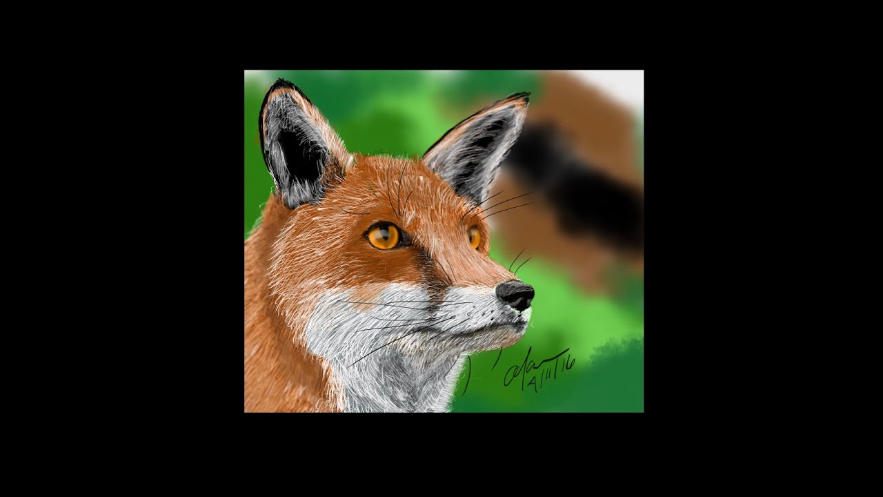 Brown Fox Speed Drawing using iPad Pro 9.7 + Apple Pencil + Procreate ...