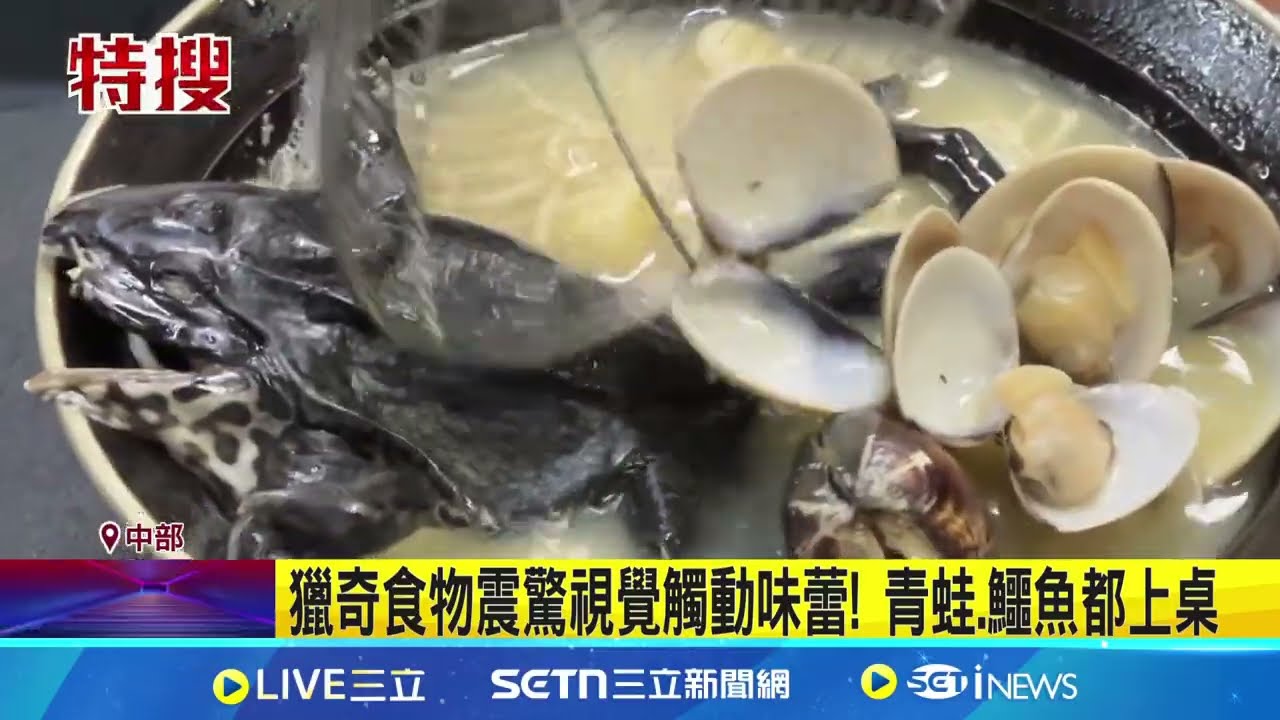 這塊雞排長腳? 獵奇炸物超大”田雞排” 獵奇食物震驚視覺觸動味蕾! 青蛙.鱷魚都上桌│記者 吳崑榆 李建瑩 詹品宏│新聞一把抓20250321│三立新聞台