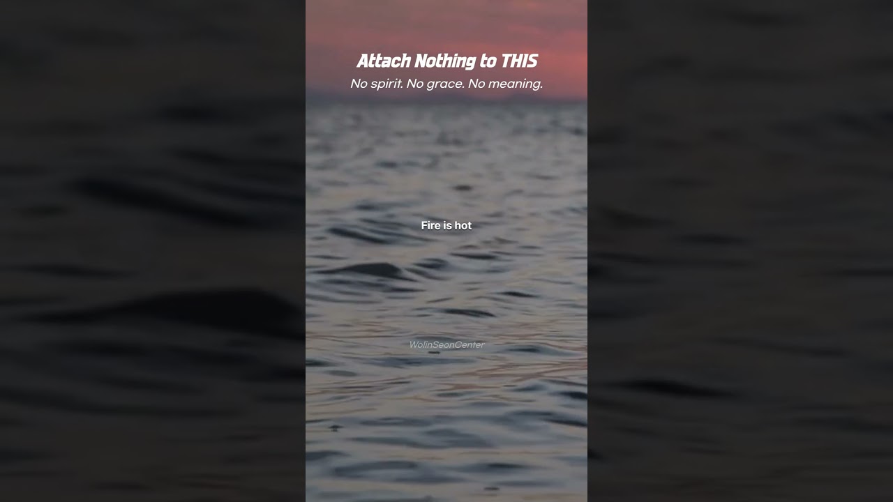 Attach Nothing to THIS  | The Dharma Talks of Dahui 97-23 #wolin #shorts