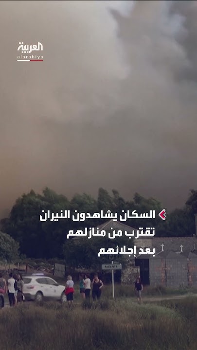    3500      
 - نشر قبل 34 دقيقة