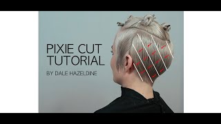 STEP BY STEP PIXIE CUT TUTORIAL - hair by DALE HAZELDINE screenshot 2