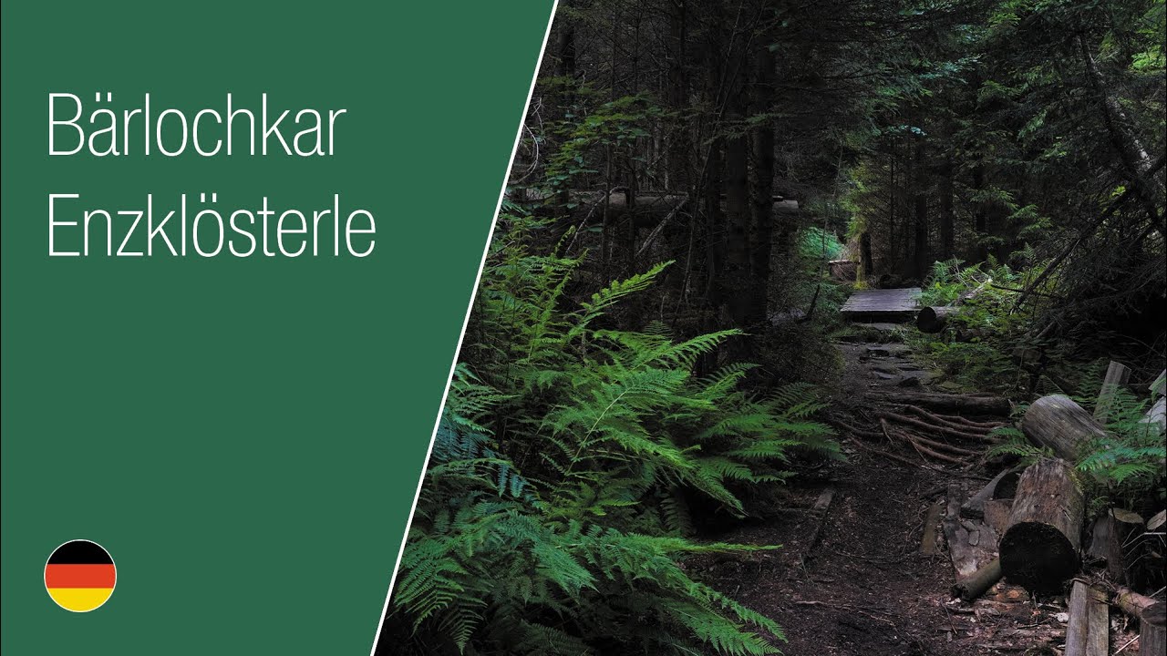 Bärlochkar Enzklösterle | Black Forest | Fern + Forest