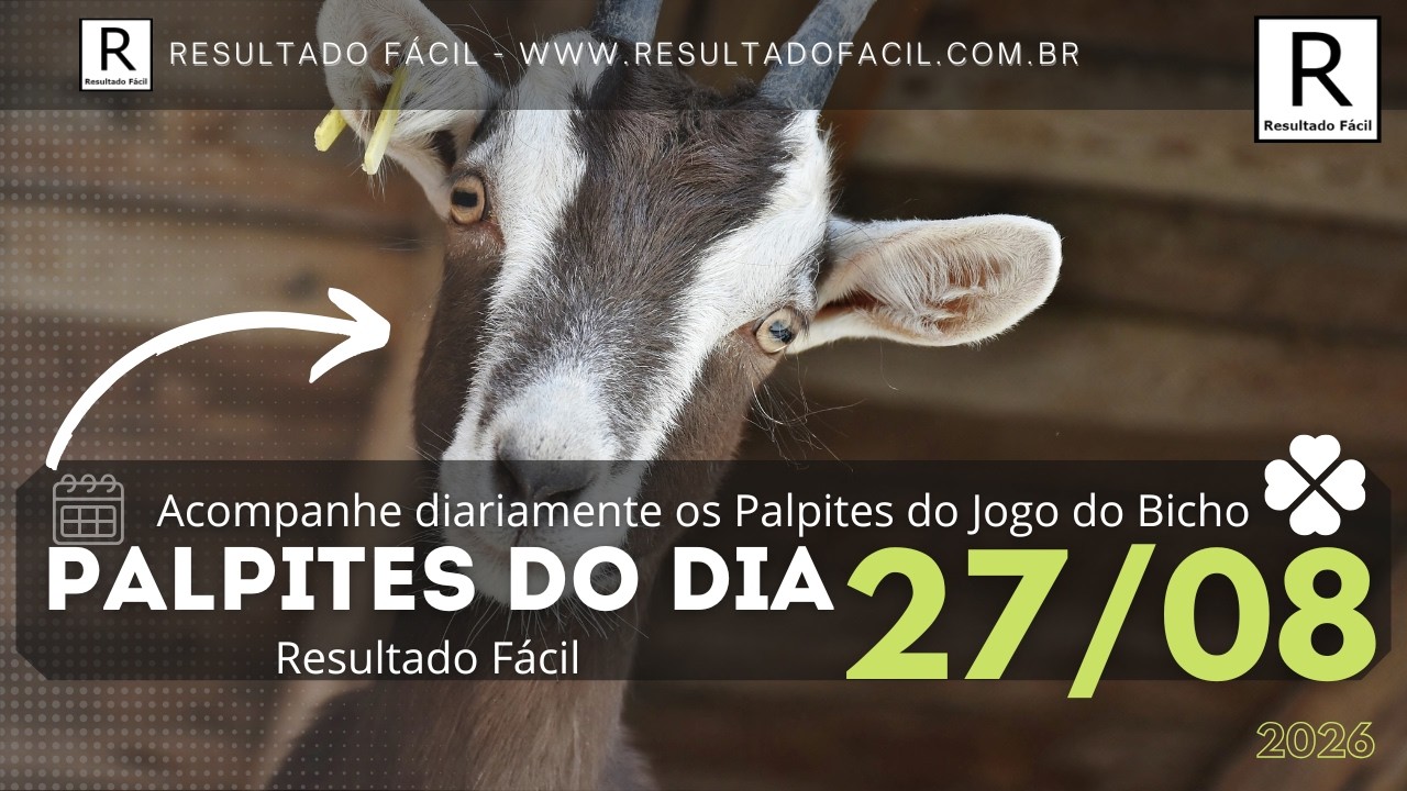 Palpites do dia Jogo do Bicho para o dia 27/08/2026