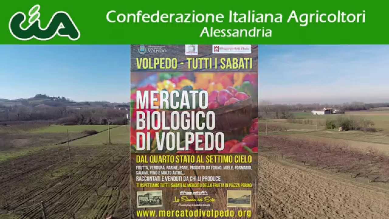 Antico mercato di Volpedo