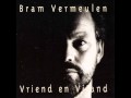 bram vermeulen - testament