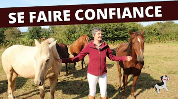 Comment créer une relation de confiance avec son cheval