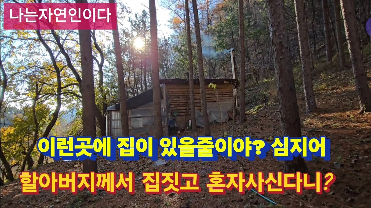 설마설마하며 올라간 오솔길. 그런데 놀랍게도 사람이 살고있다 그것도 할아버지?