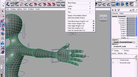 Maya Biped Rigging Free Video Tutorials Lesson-14 Hand Smear, in Oriya language